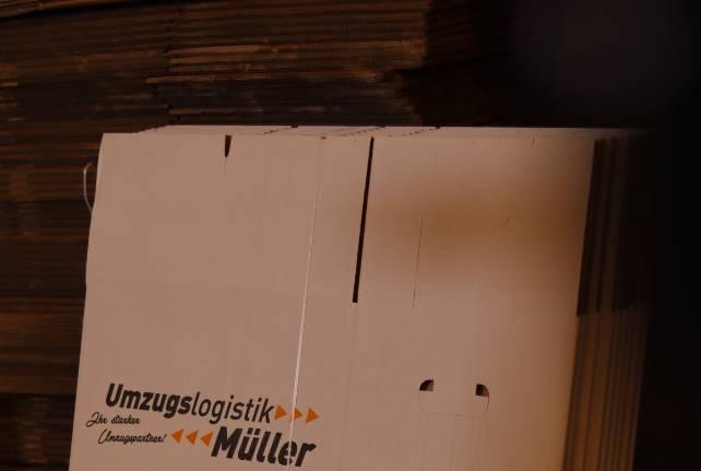 Günstiger Behördenumzug Trebsen/Mulde