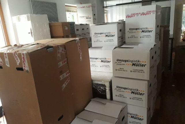 Labor Umzug preise erfahren in Trebsen/Mulde