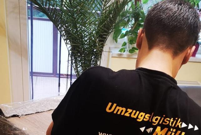 Preise für Ihren Studentenumzug in Trebsen/Mulde
